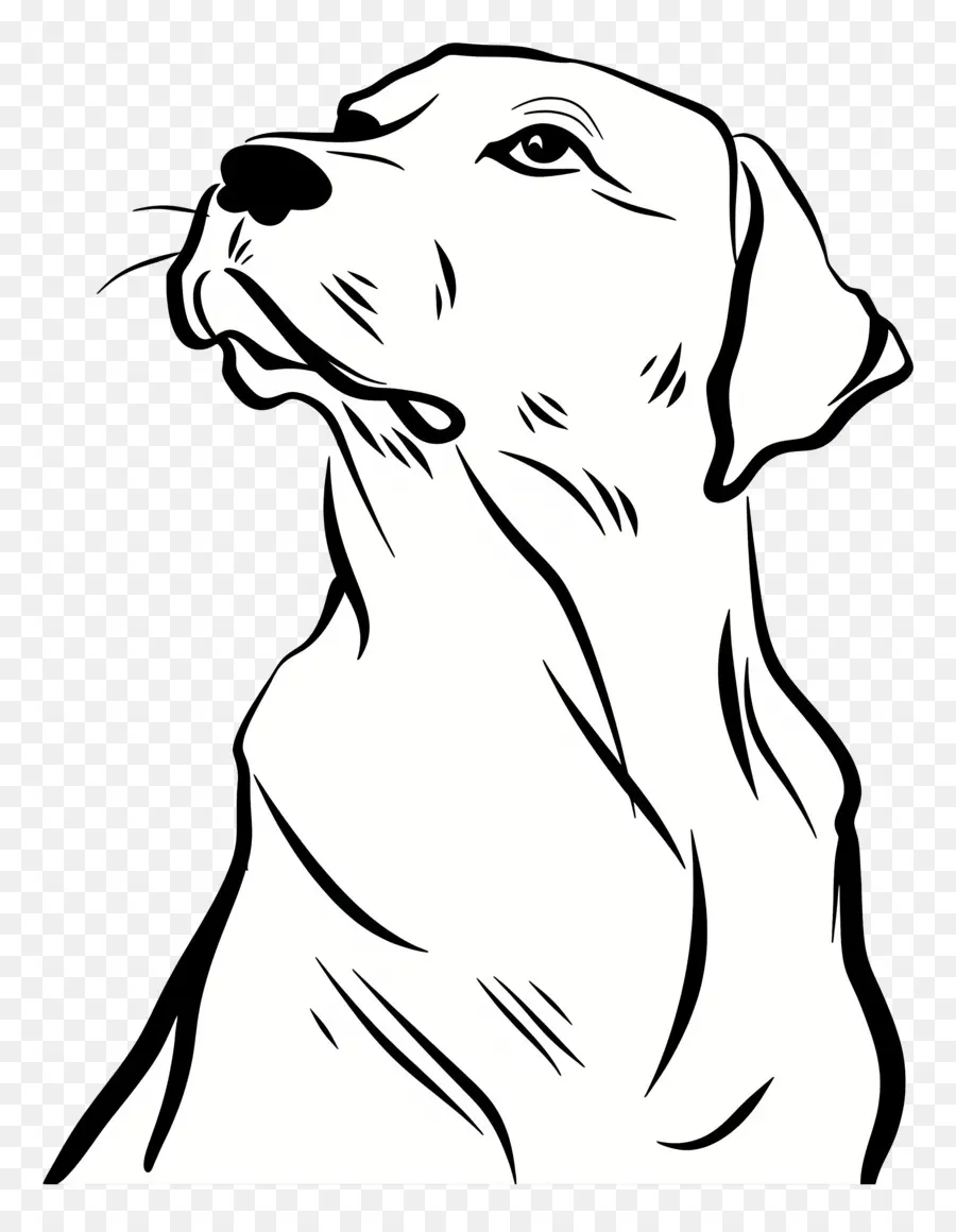 Desenho De Uma Linha，Cachorro PNG