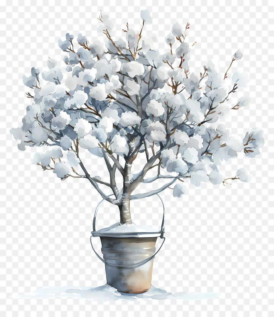 árvore De Neve，Algodão Floresce PNG