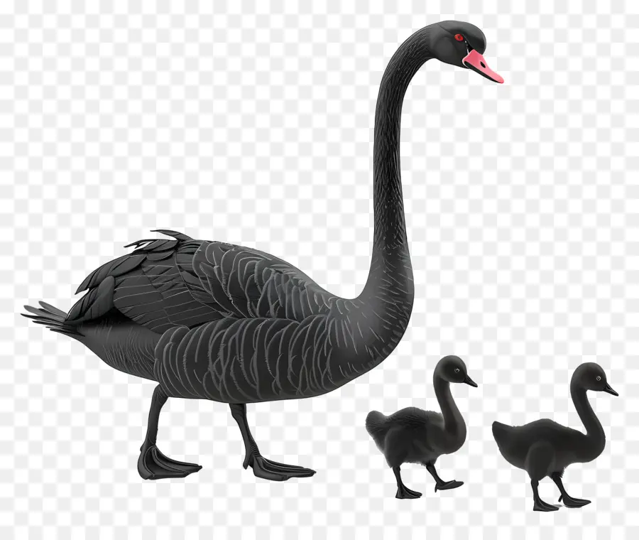 Swan，Bebê PNG