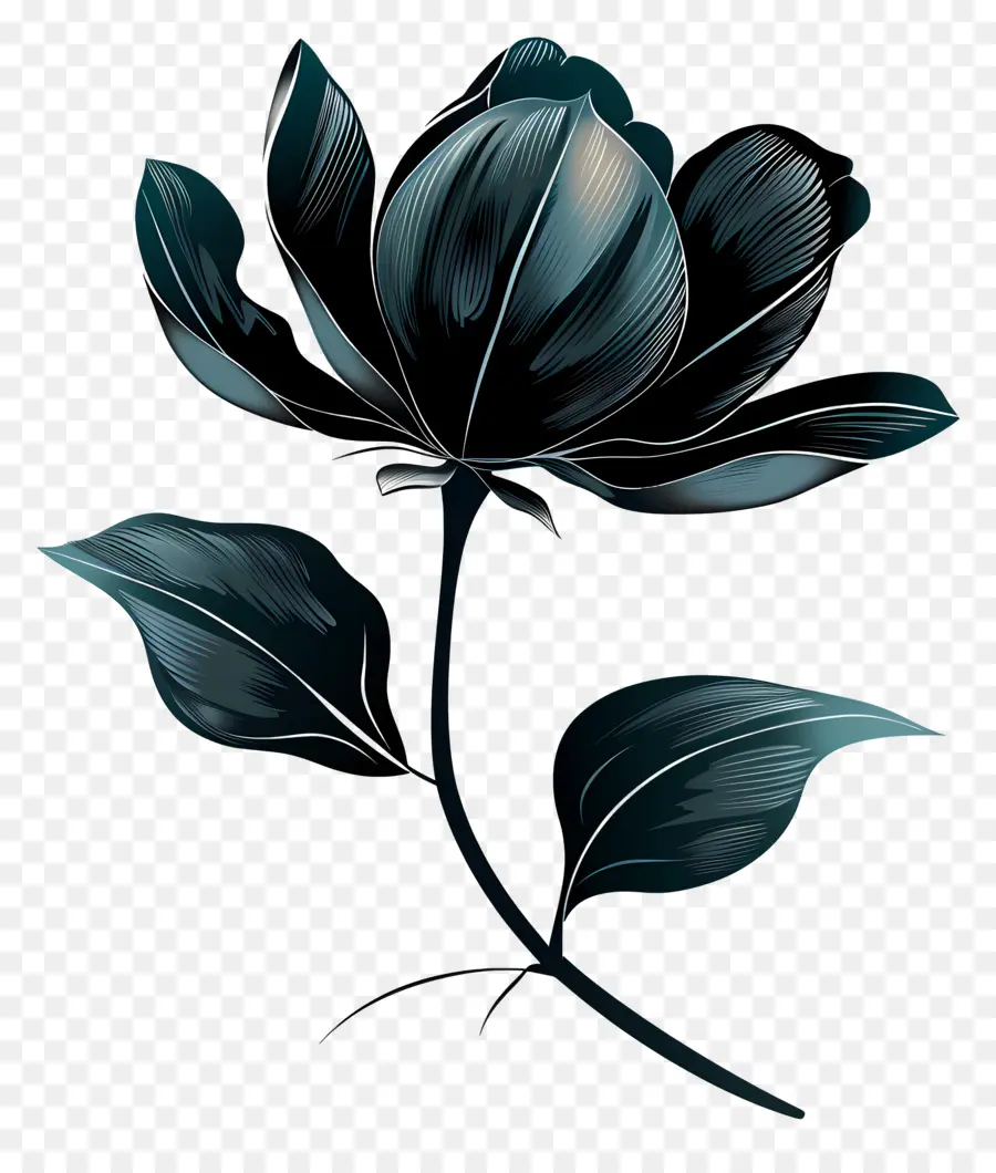 Flor，Negra Flor PNG