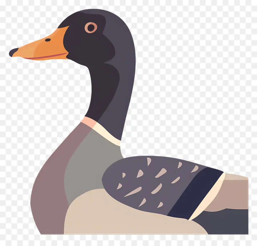 Pato，Pássaro PNG