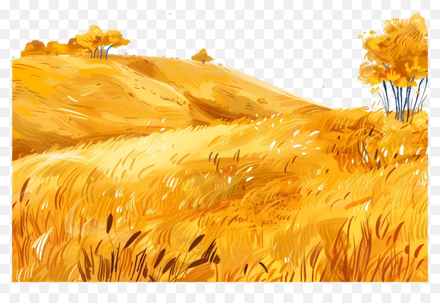 Campos De Ouro，Pintura PNG