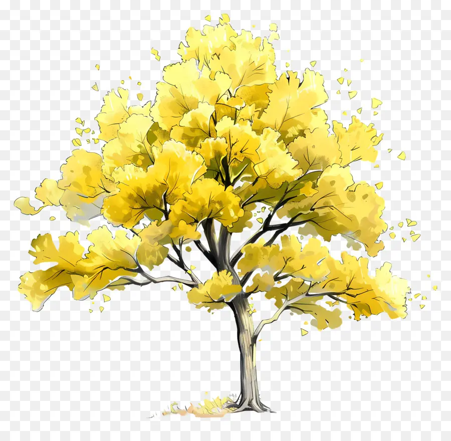 Árvore Ginkgo，Árvore Amarela PNG