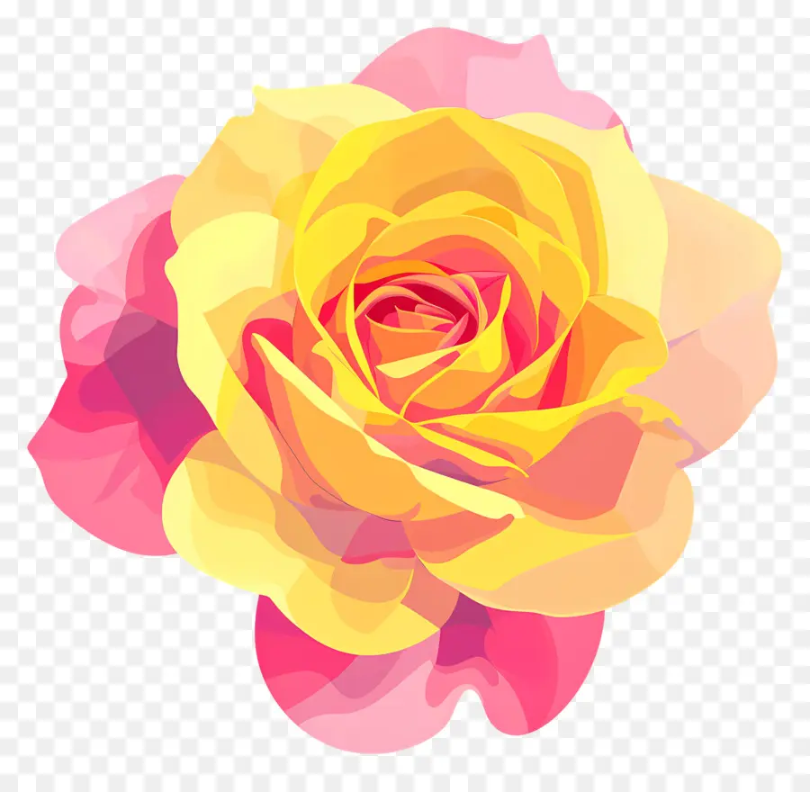 Rosa，Florescer PNG