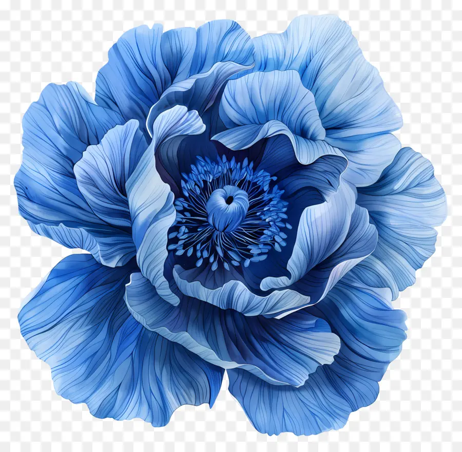 Flor Azul，Azul PNG