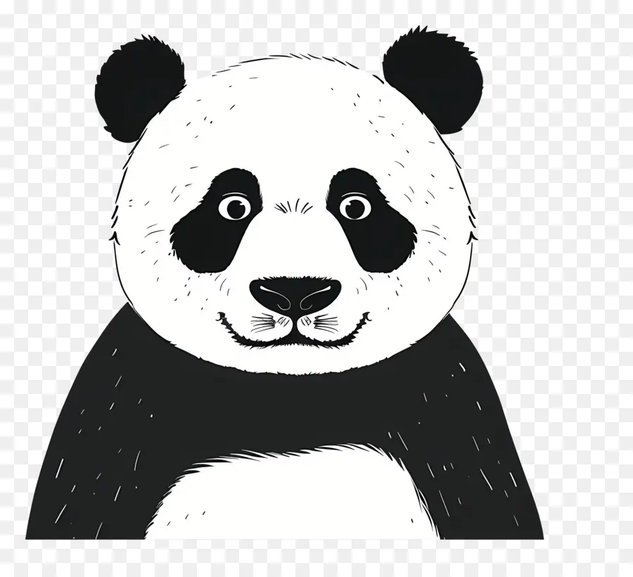 Panda，Cara De Panda PNG