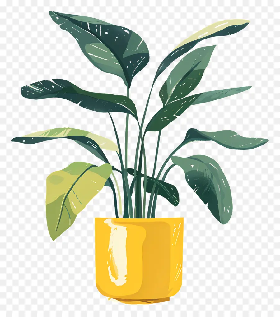 Planta Em Vaso，Planta Em Vaso Verde PNG