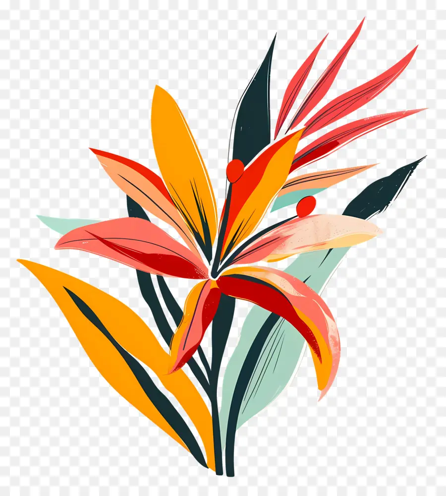 Flor Exótica，Flores Coloridas PNG
