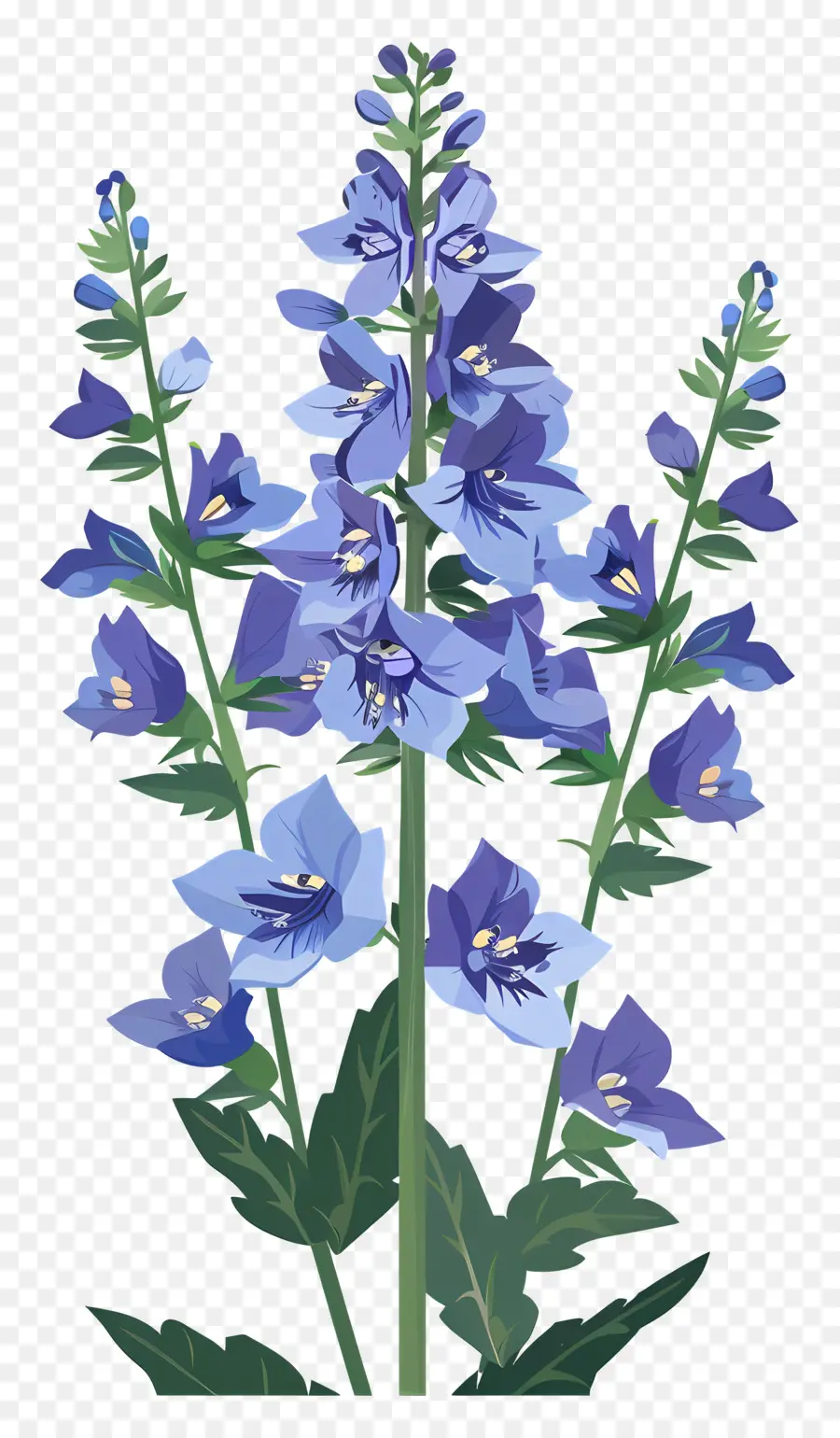 Delphinium，Flores Azuis PNG