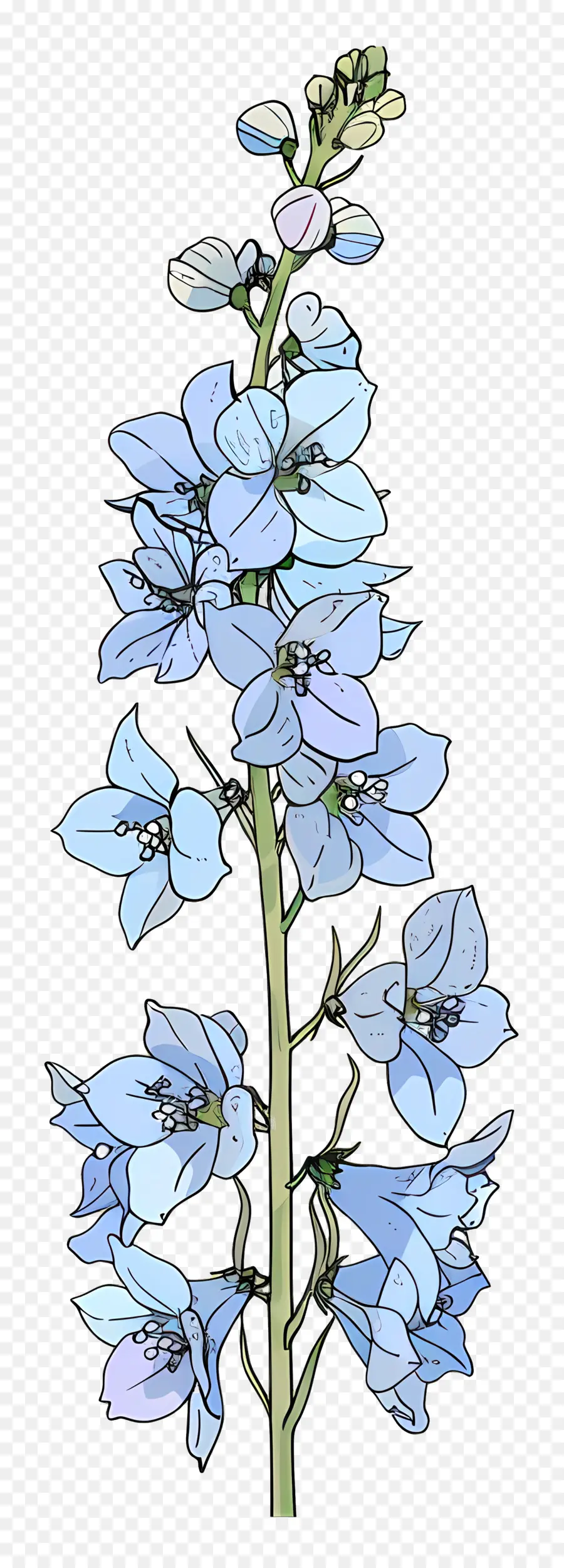 Delphinium，Flor Azul PNG