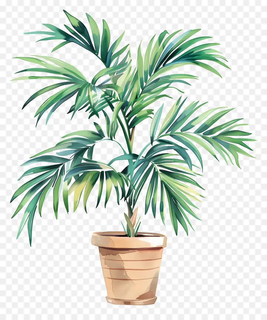 Palma Em Vaso，Planta Em Vaso Verde PNG