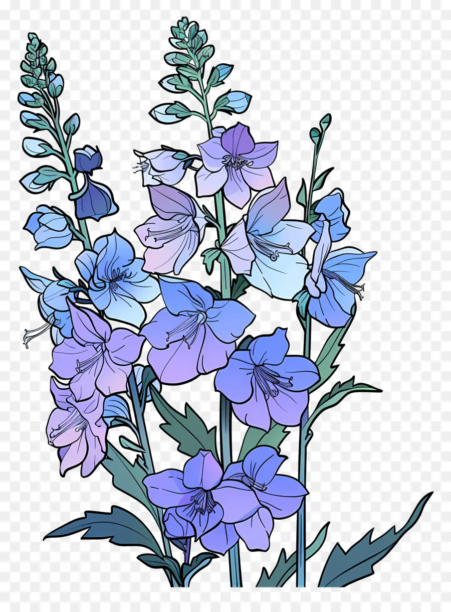 Delphinium，Flores Azuis PNG