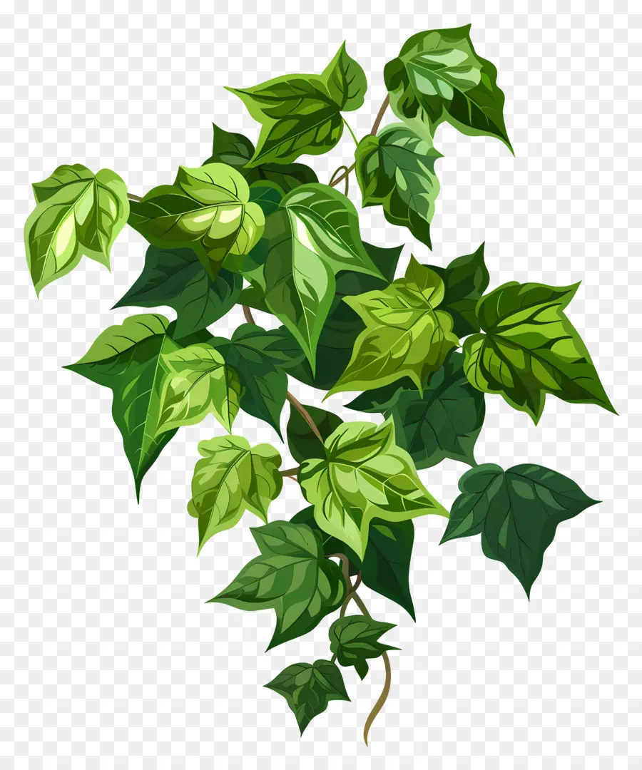Poison Ivy，árvore Verde PNG