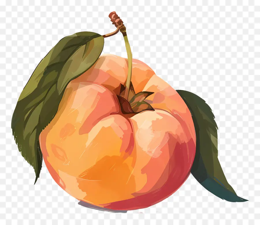 Pêssego，Frutas PNG