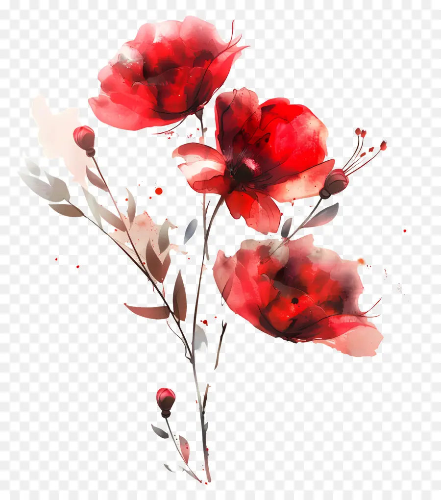 Aquarela Flores，Flores Vermelhas PNG