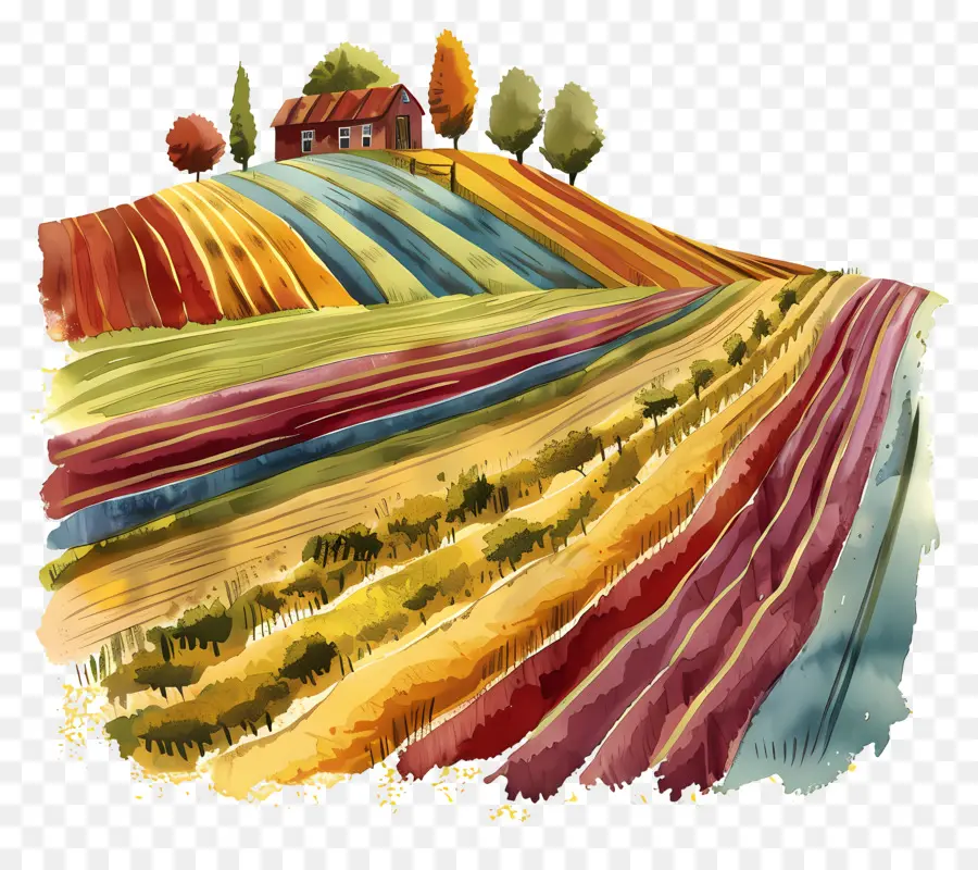 Campo Agrícola，Campos Coloridos PNG