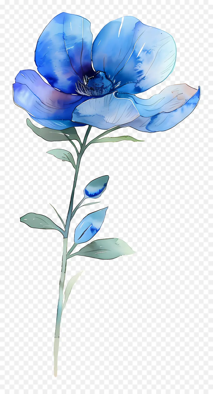 Aquarela Flores，Flores Azuis PNG