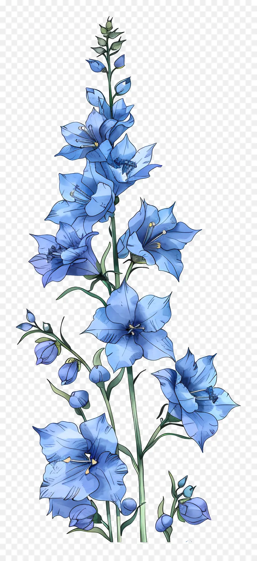 Delphinium，Flor Azul PNG