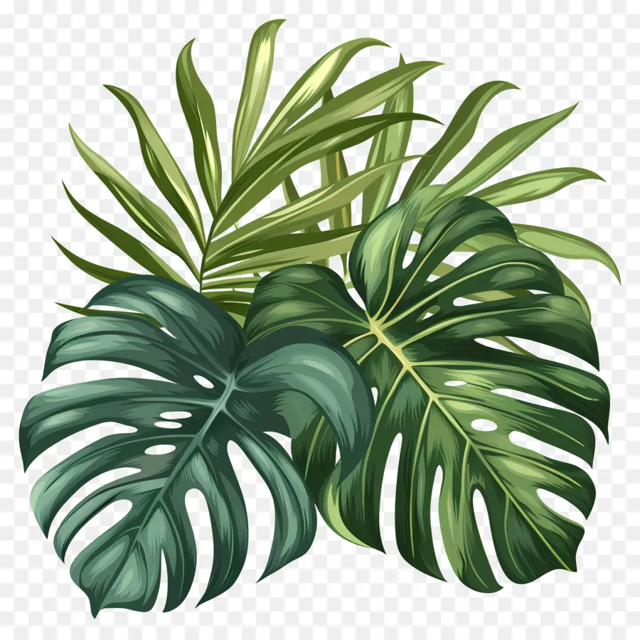 Folhas Tropicais Exóticas，Plantas Tropicais PNG