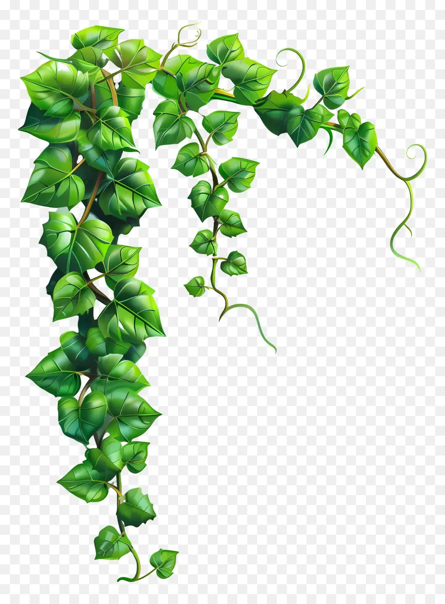 VINES GREENERY，Verde Videira PNG