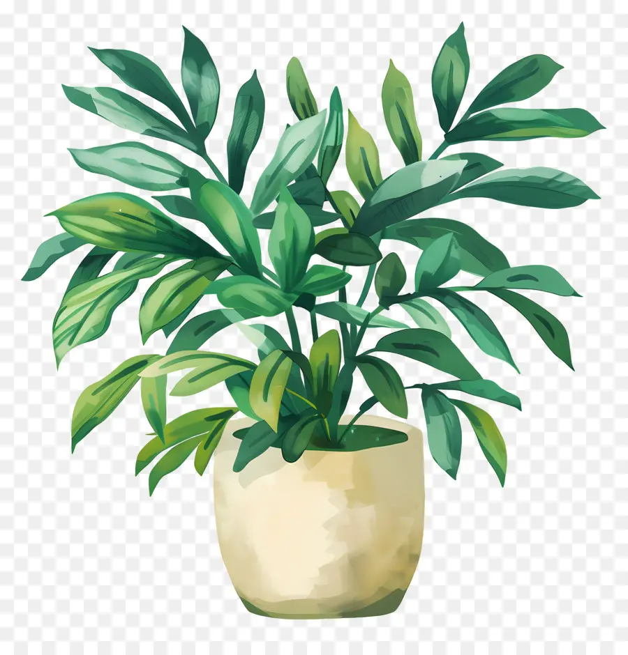 Planta De Interior，Planta Em Vaso PNG