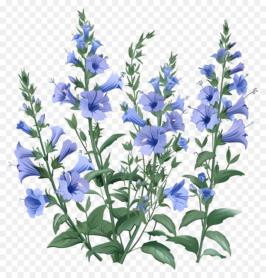 Flores Silvestres，Flores Azuis PNG