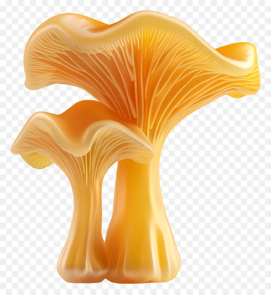 CHanterelle Mushroom，Cogumelos PNG