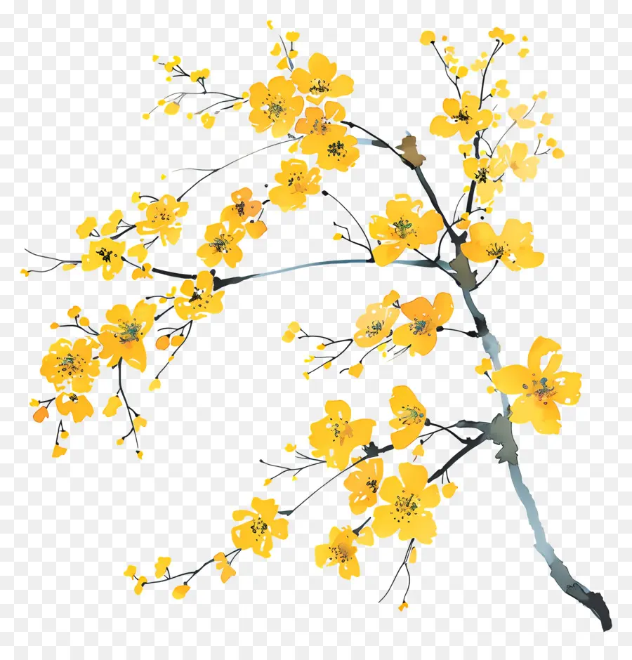 Flores Amarelas，Ramo PNG
