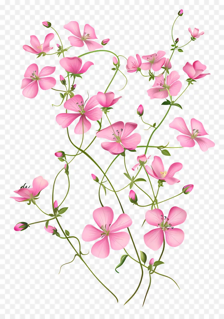 Flores Cor De Rosa，Florescendo PNG