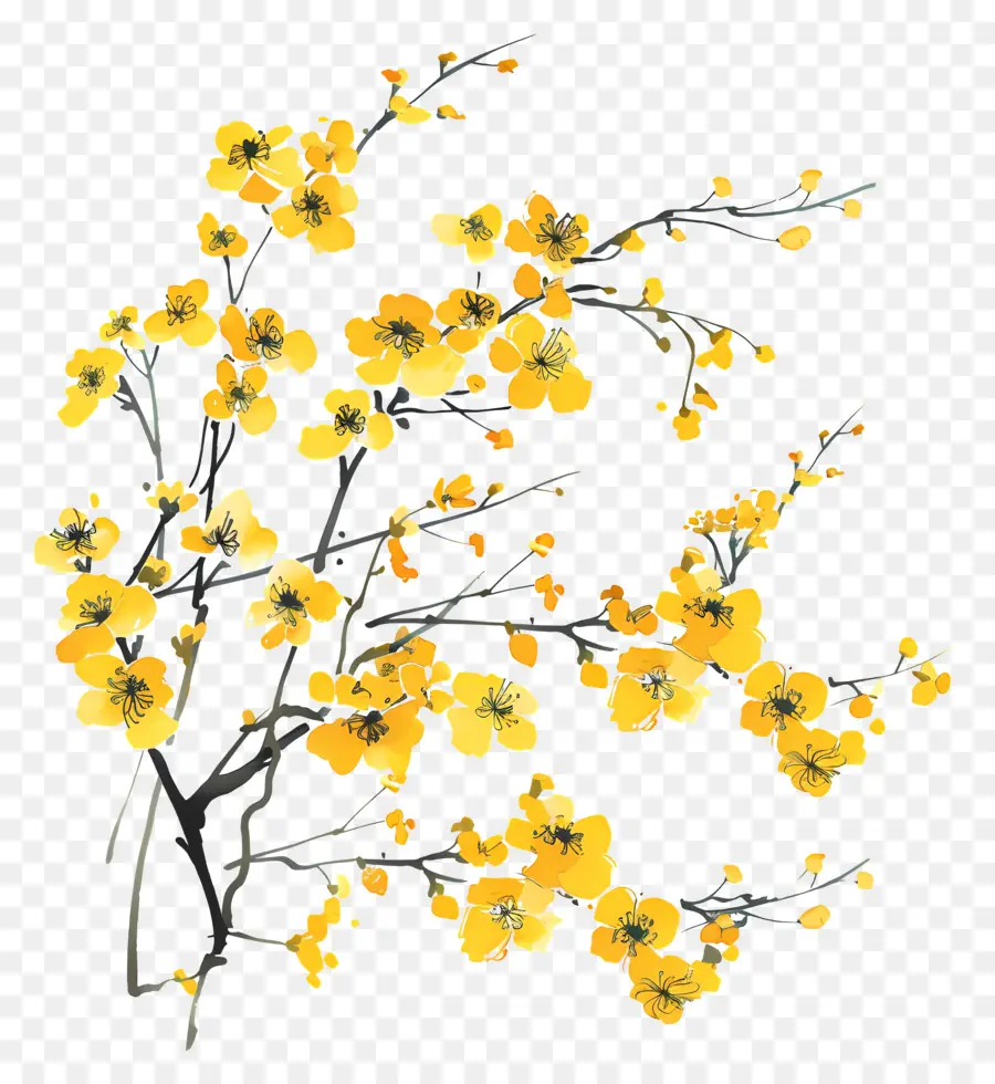 Flores Amarelas，árvore De Banyan PNG