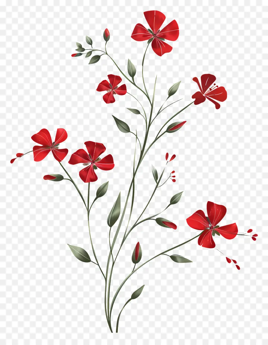 Flores Vermelhas，Black Background PNG