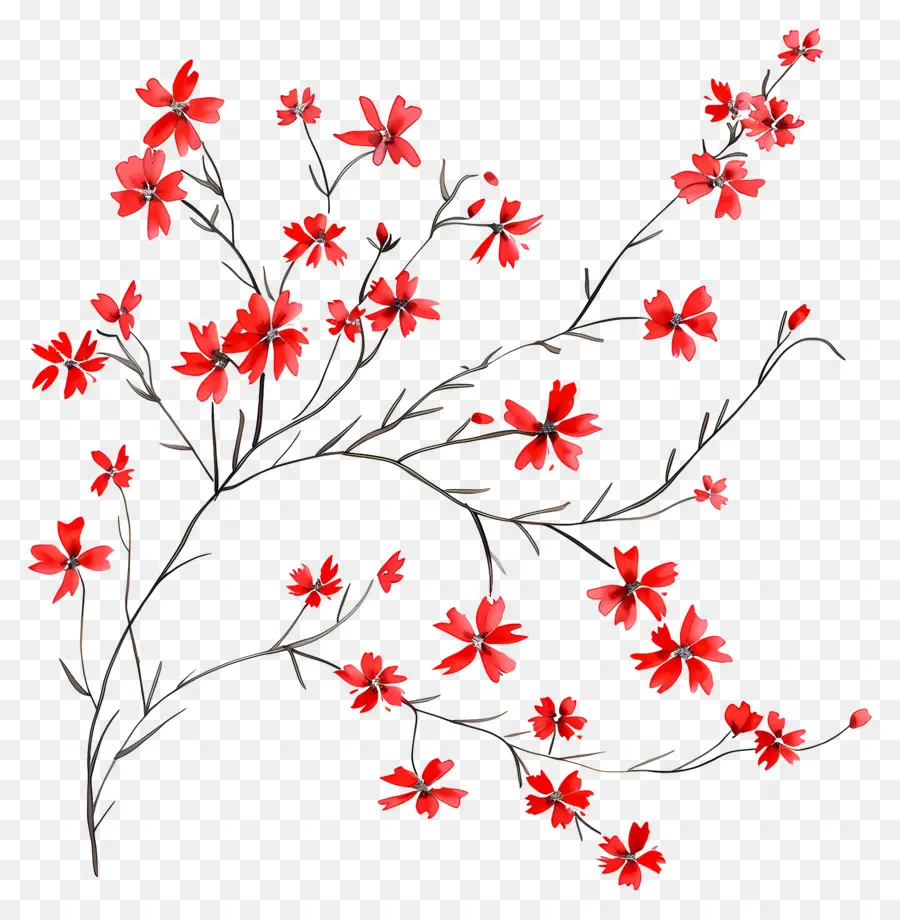 Flores Vermelhas，Arranjo Floral PNG