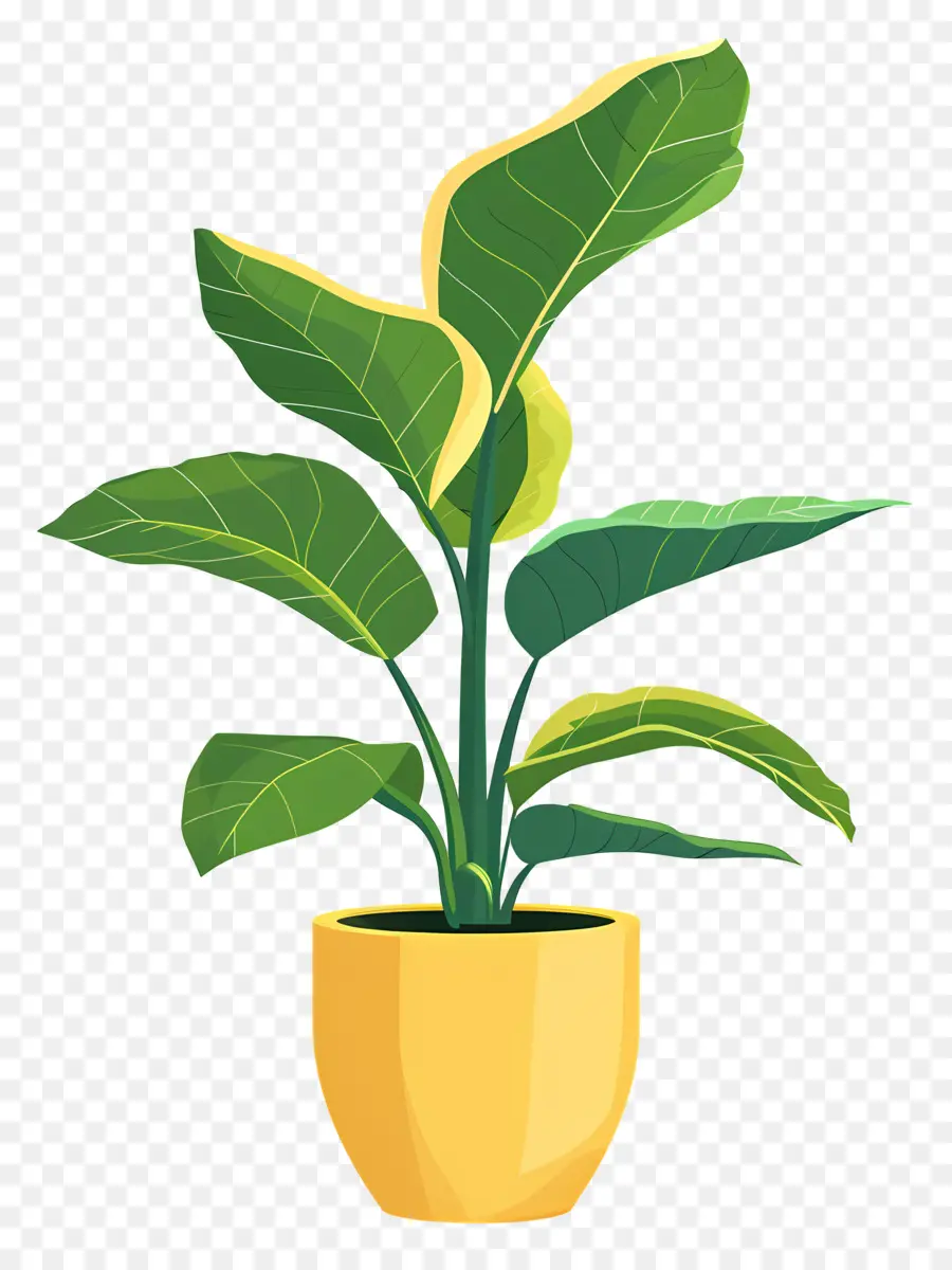 Planta De Interior，Planta Em Vaso Amarelo PNG