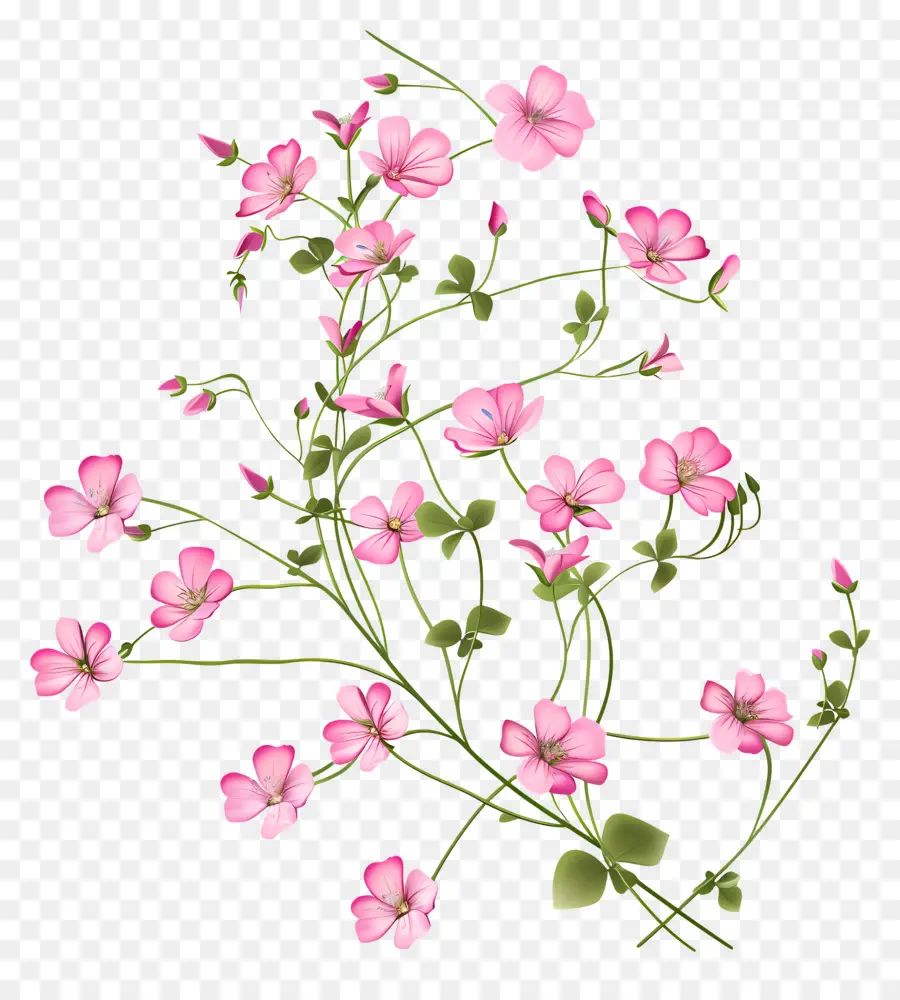 Flores Cor De Rosa，Flores Desabrochando PNG