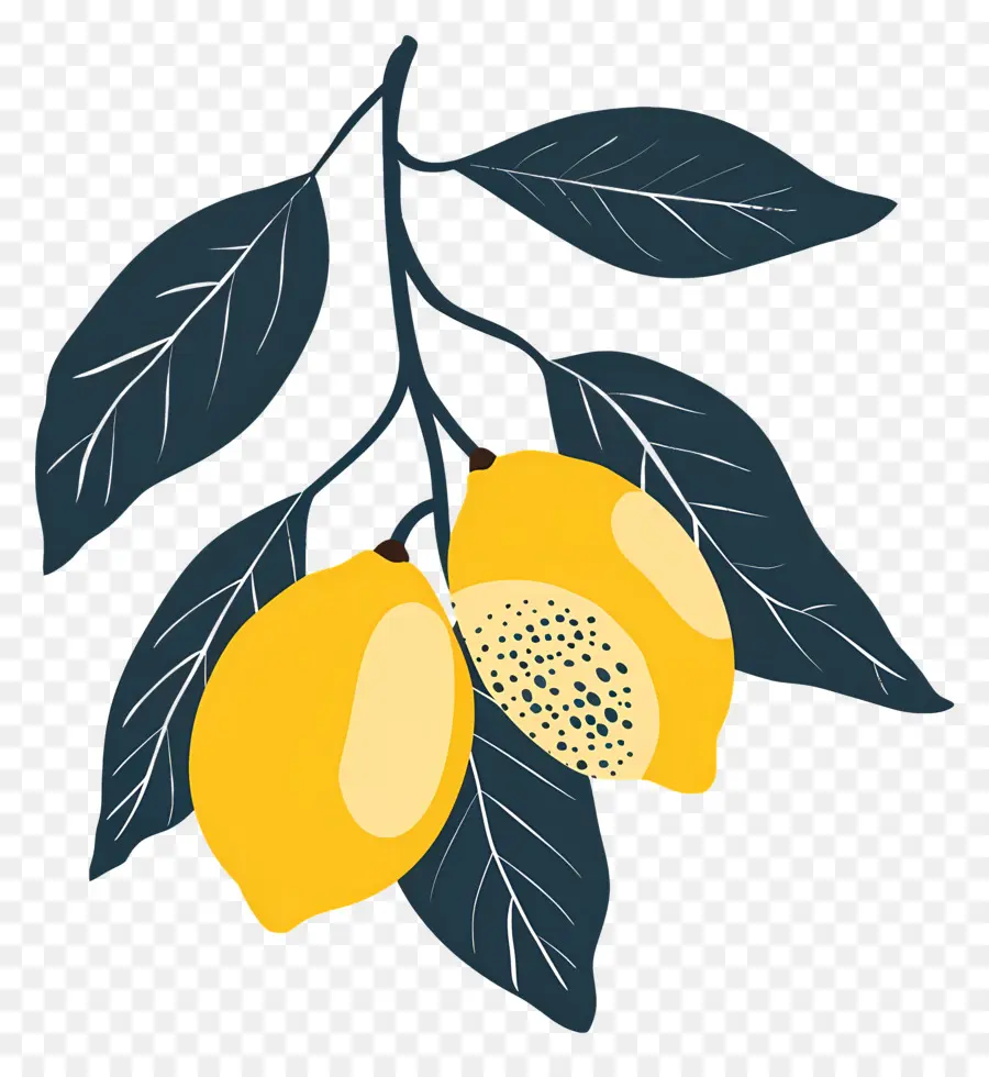 Limões，Lemon Tree PNG