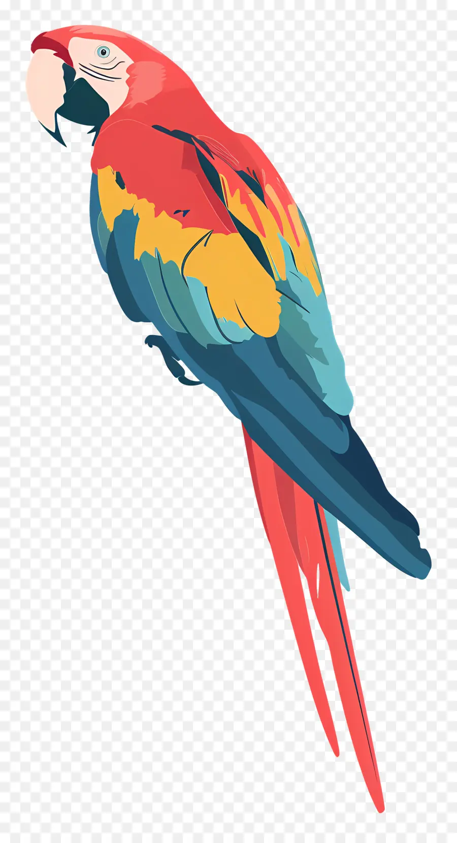 Arara，Papagaio Colorido PNG