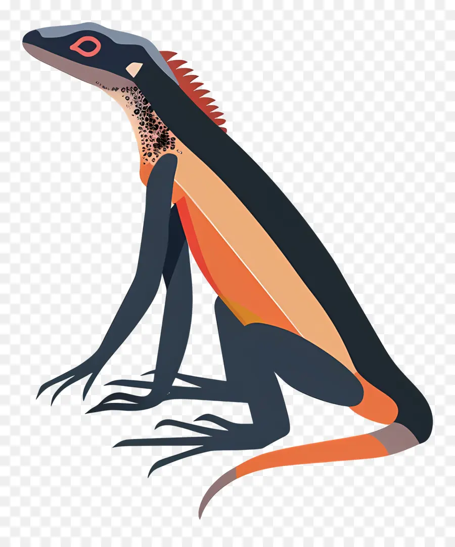 Lagarto，Lagarto Colorido PNG