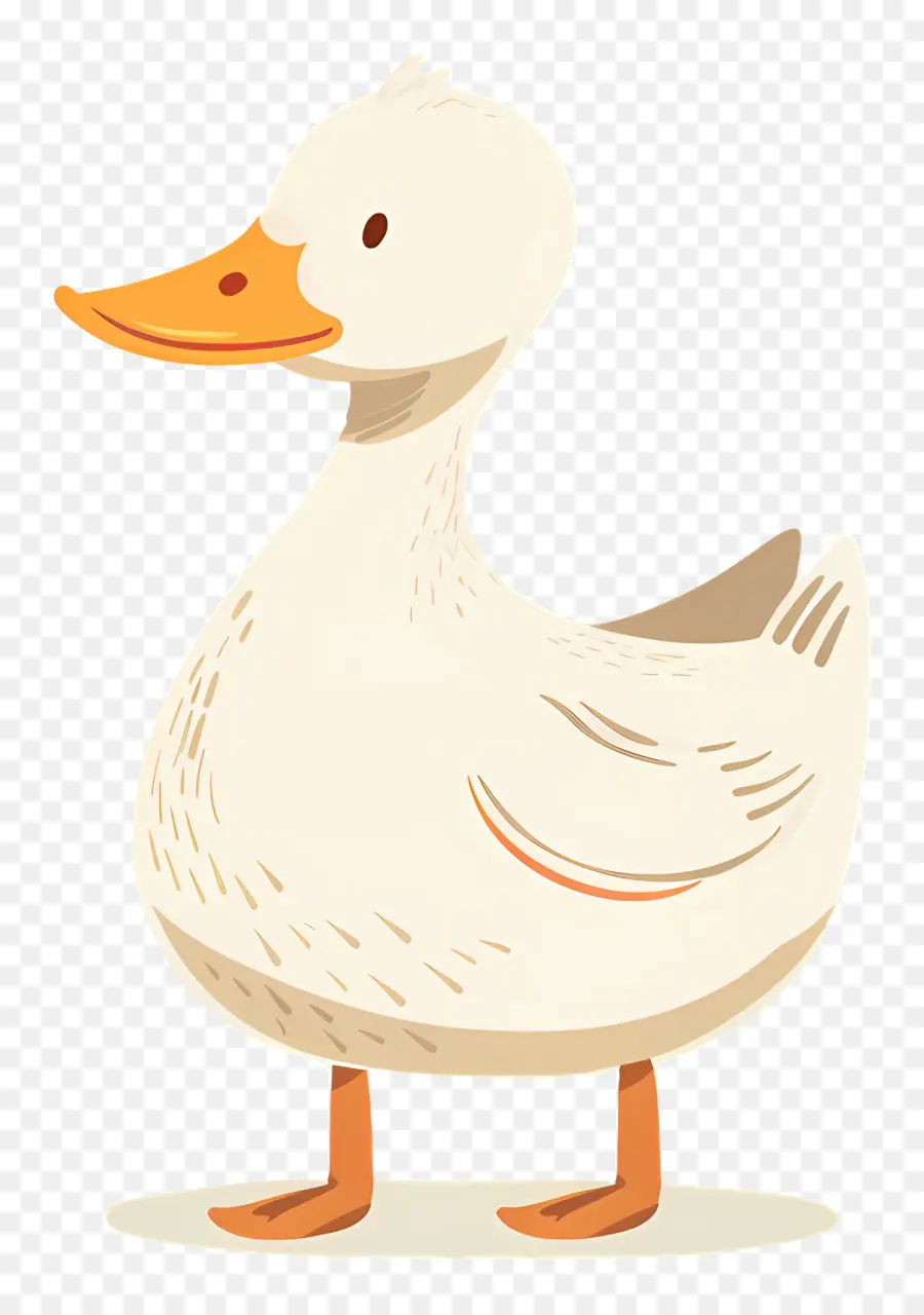 Pato De Desenho Animado，Pato PNG