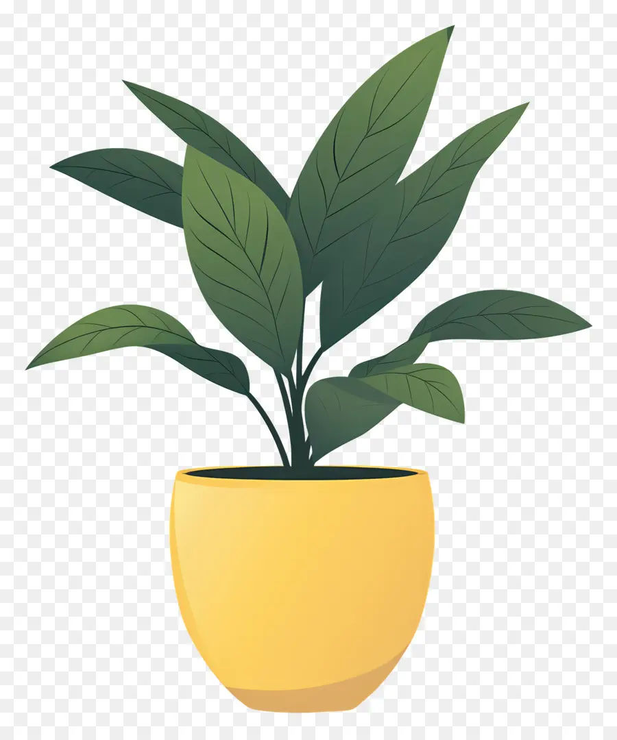 Planta De Interior，Planta Em Vaso Amarelo PNG