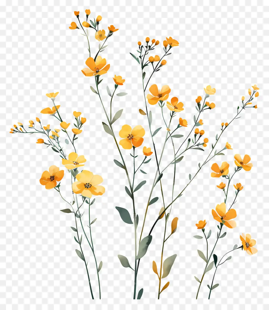 Flores Amarelas，Amarelo Flores Silvestres PNG
