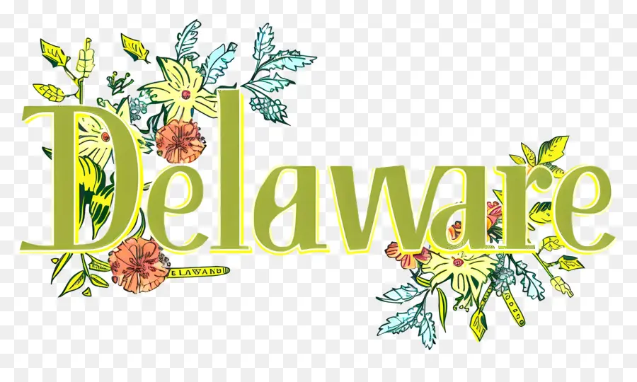 Delaware，Estado PNG