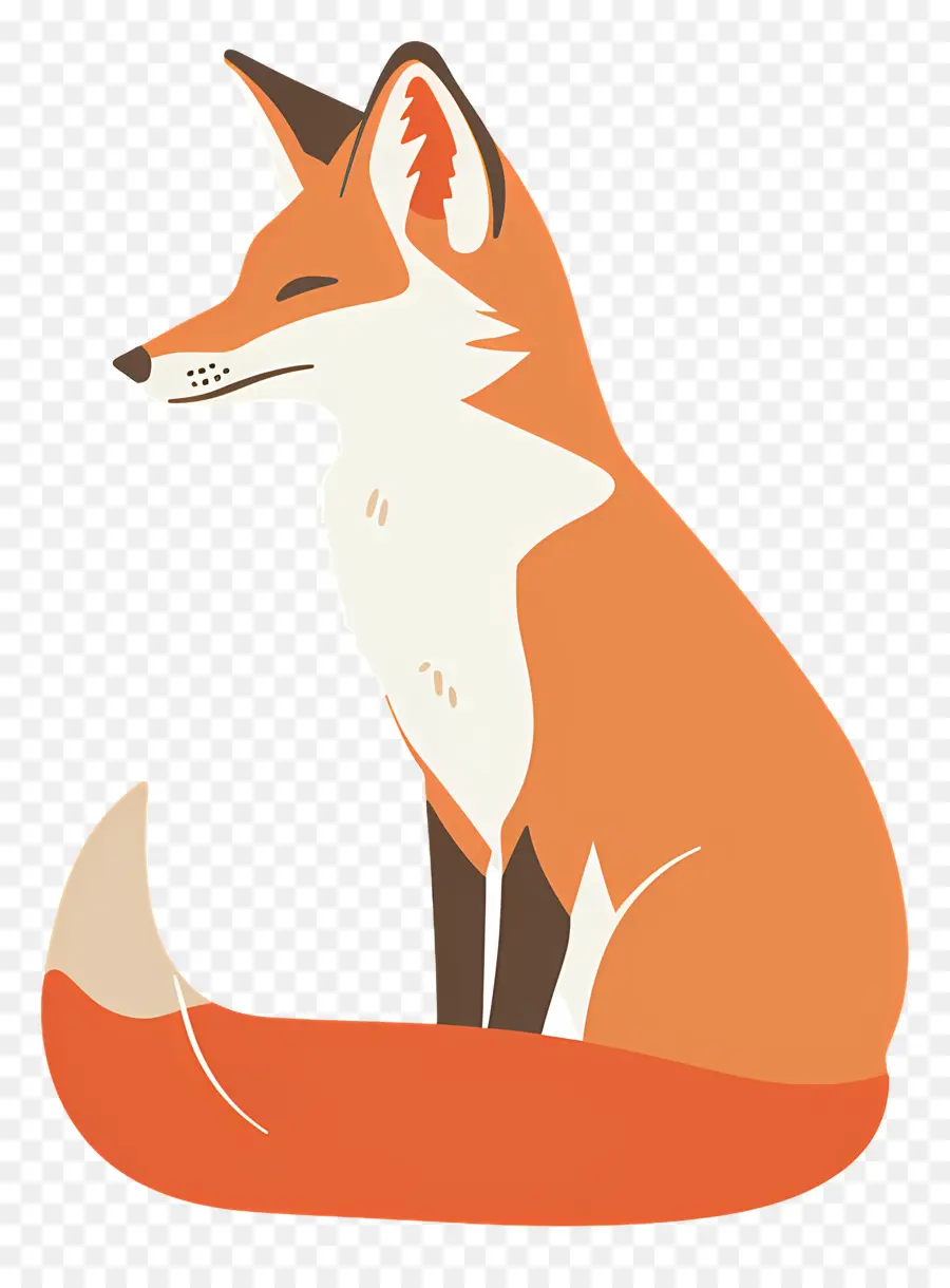 Fox，Laranja PNG