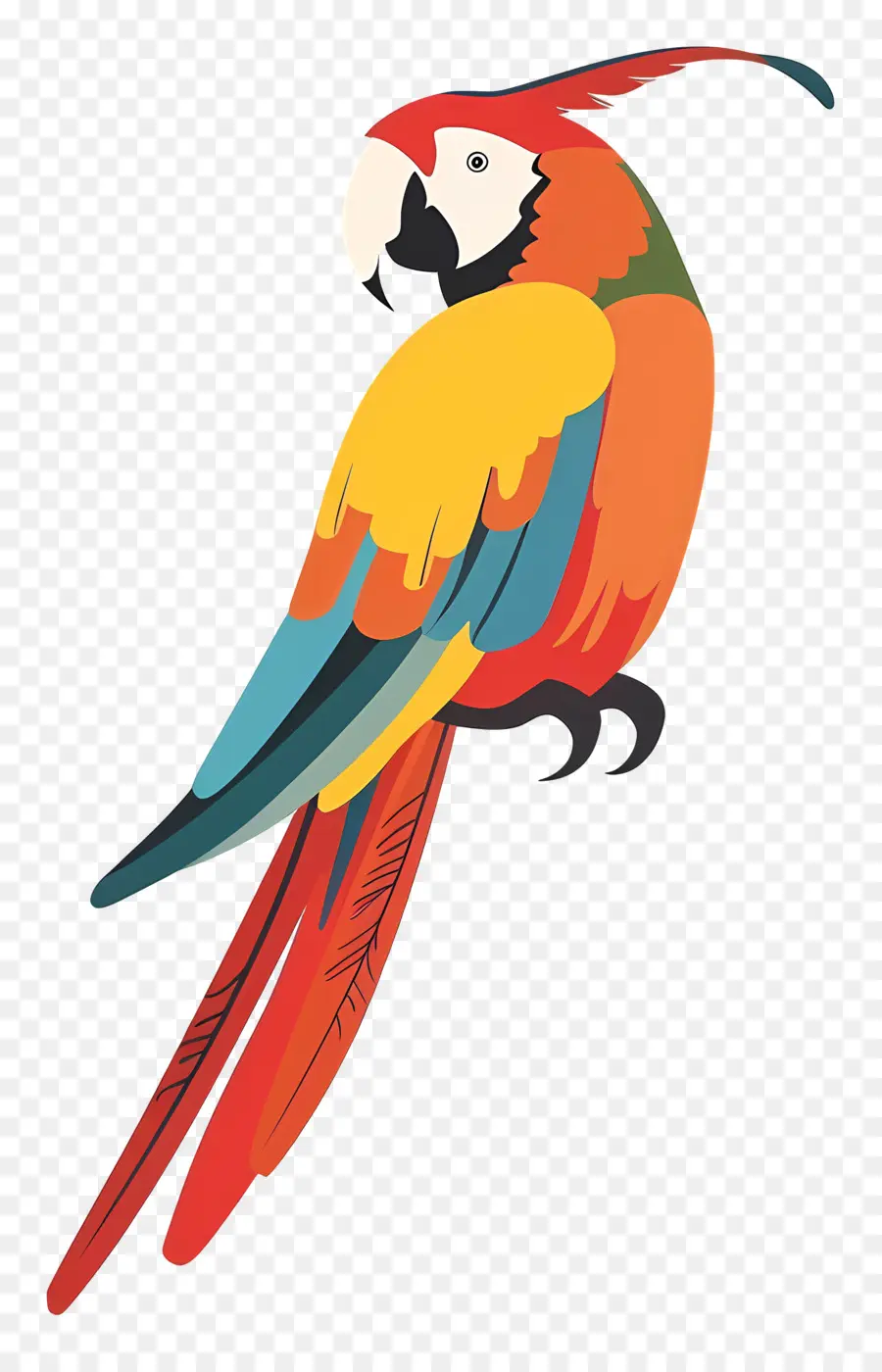 Arara，Papagaio Colorido PNG