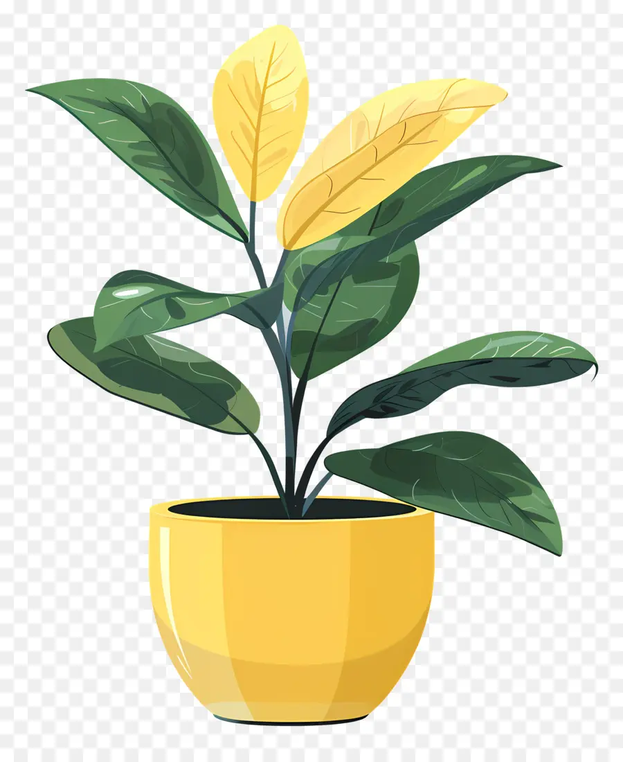 Pote Amarelo，Um Vaso De Planta PNG