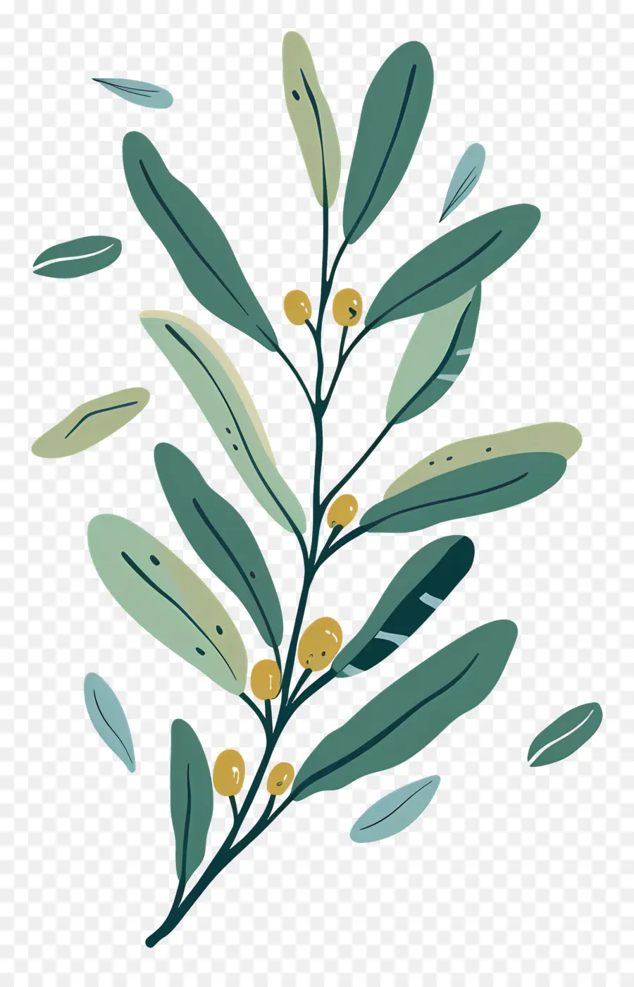 Olive Branch，Azeite De Planta PNG