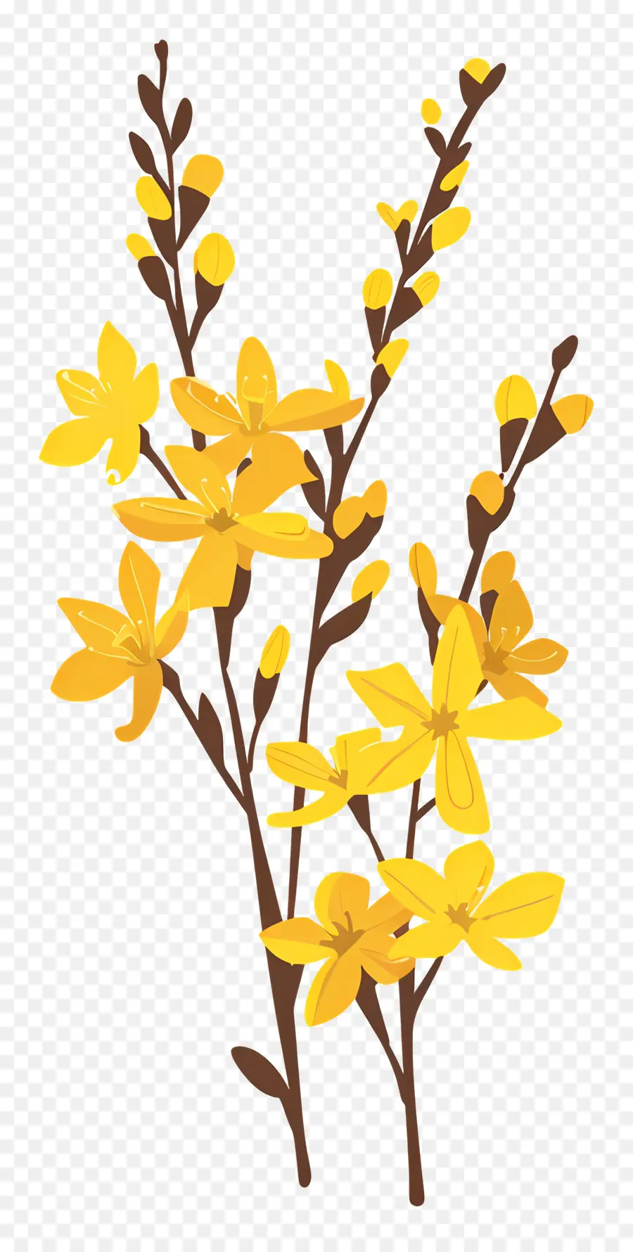 Forsythia，Flores Amarelas PNG