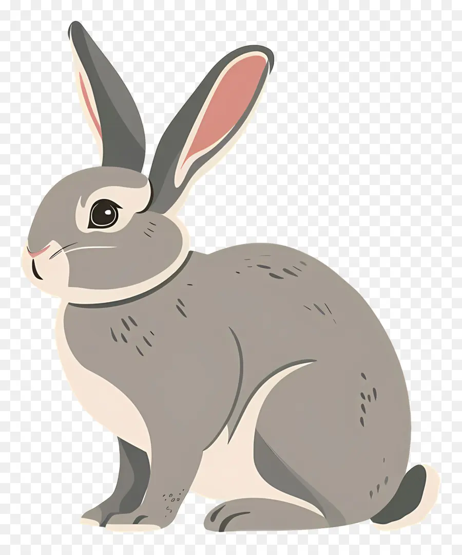 Bunny，Coelho PNG
