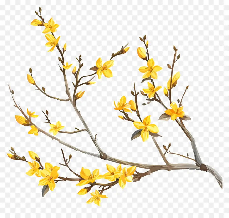 Forsythia，árvore De Flores PNG