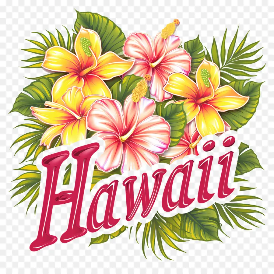 Havaí，Havaiano De Hibisco PNG