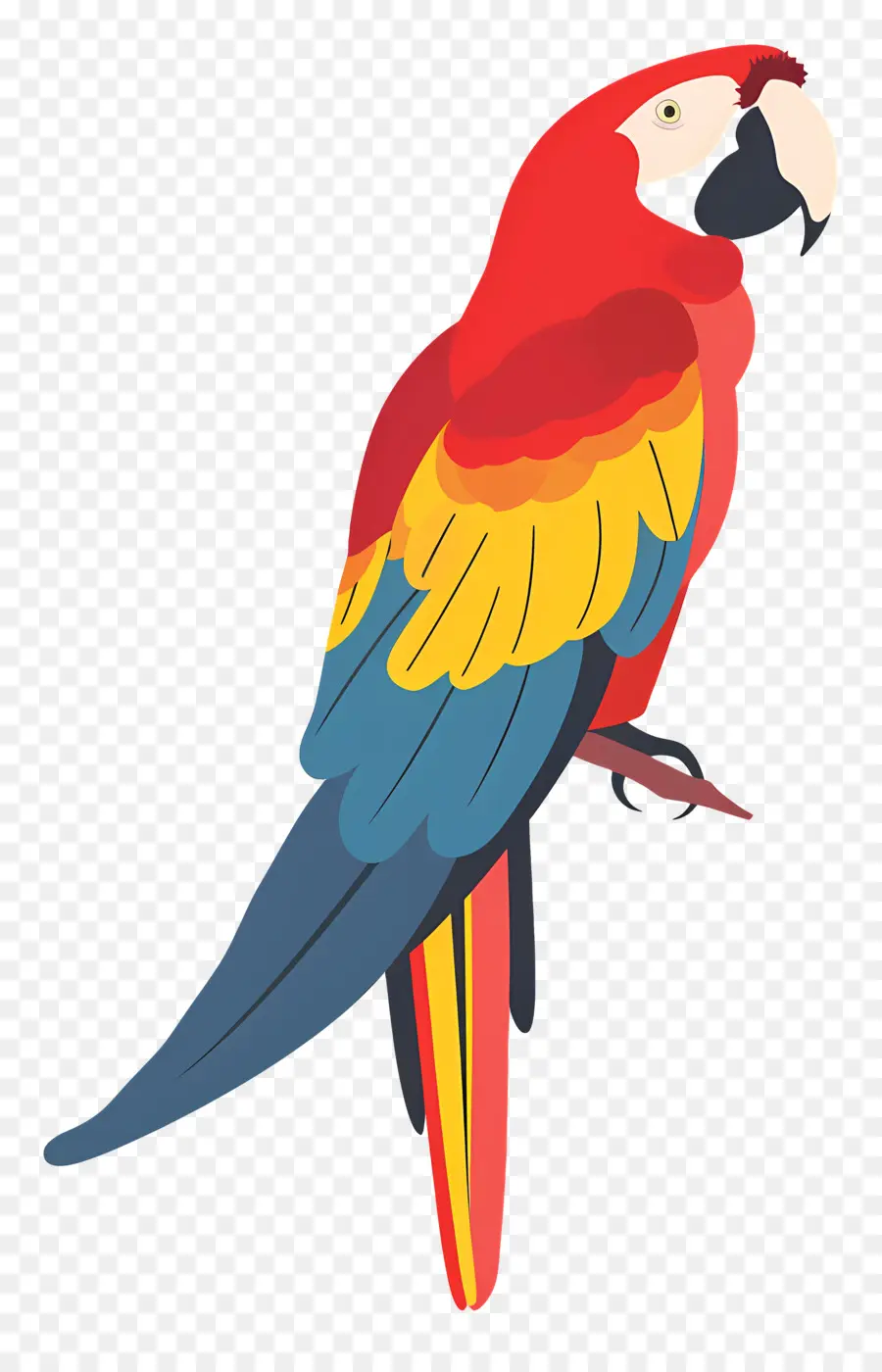 Arara，Papagaio Colorido PNG